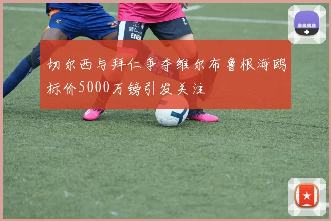 切尔西与拜仁争夺维尔布鲁根海鸥标价5000万镑引发关注